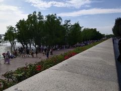 -宝安西湾红树林湿地公园