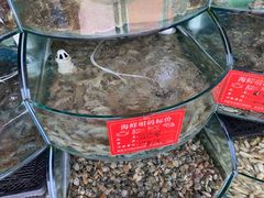 -东来菜馆•手抓海鲜家常菜•海鲜锅贴(鸽子窝店)
