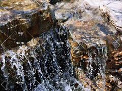 -武清南湖绿博园