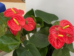 -中国民生银行(上海同福支行)