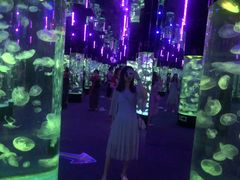 -成都浩海立方海洋公园