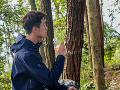 -铁山坪森林公园