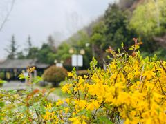 -长安文化生态公园