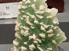 -湖南省地质博物馆