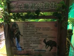 -恐龙探索乐园(磁器口店)
