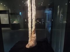 -中华赏石园