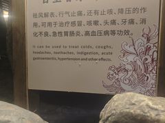 -张家港金凤凰度假村温泉