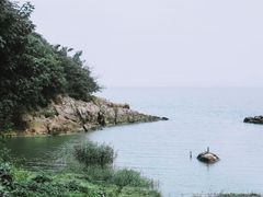 -巢湖姥山岛