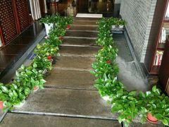 -梧桐餐厅(泉城路店)