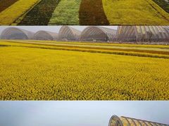 -中国天府农业博览园