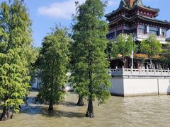 -顺峰山公园