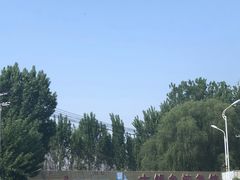 -夏家大锅台炖鱼馆