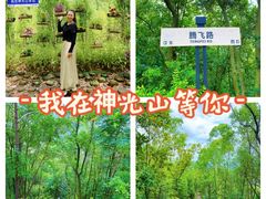 -神光山国家森林公园
