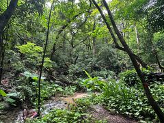 -七仙岭温泉国家森林公园