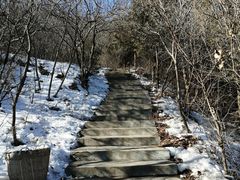 -北京西山国家森林公园