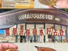 -WHEN PIGS FLY当猪飞