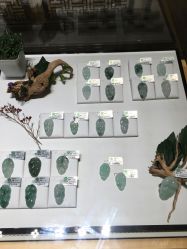 -北京七彩云南翡翠珠宝旗舰店(月坛店)