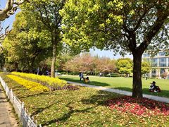 -复旦大学光华楼