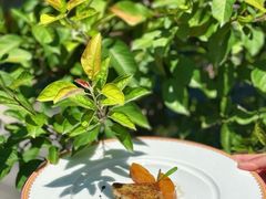 -白家大院·王府宫廷菜(苏州街店)