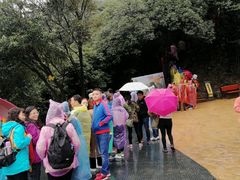 -梦幻奥陶纪景区