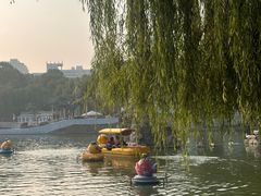 -团结湖公园