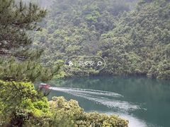 -鼎湖山风景区