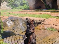 -海南热带野生动植物园