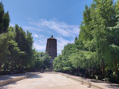 -玲珑塔公园