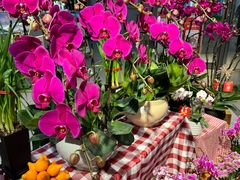 -blt精品超市(高德置地冬广场店)