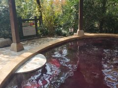 -天目湖涵田半山温泉