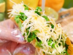 -油梨树AVOCADO TREE(嘉里中心店)