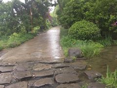-中国茶叶博物馆(双峰馆区)