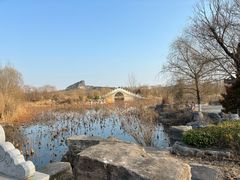 -南湖国家城市湿地公园