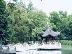 -汇龙潭