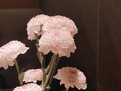 -阿吾罗·月咏精致日料(港汇恒隆广场店)