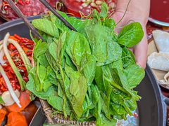 -赵美丽·重庆社区火锅·直营店(火车东站·中豪国际店)