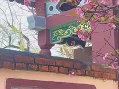 -庾园