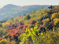 -北京西山国家森林公园