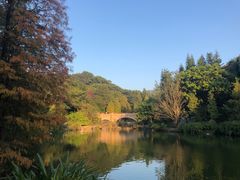-云溪植物园