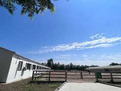 -北京群众马术培训基地