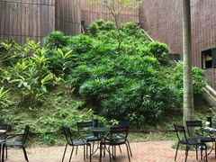 -香港大学