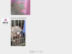 -良伴无忧宠物医院(泰欣嘉园店)