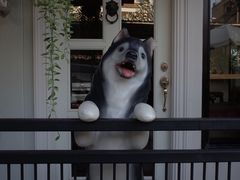 -TrueLove @ Neverland (Husky Cafe)