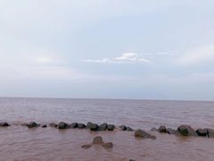 -南汇嘴观海公园