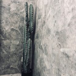 -AD HAIR 