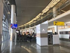 -谢列梅捷沃国际机场
