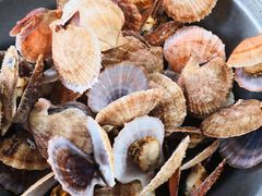 -三旗百汇商品城