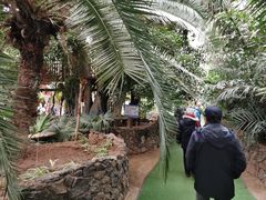 -呀路古热带植物园