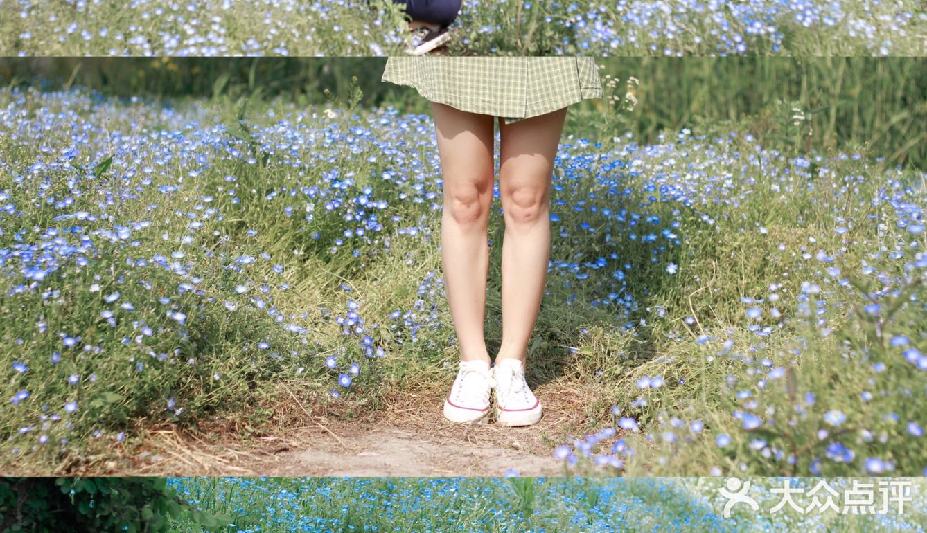 杭州喜林草花海打卡|掉进莫奈花园里啦