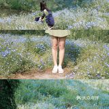 杭州喜林草花海打卡|掉进莫奈花园里啦